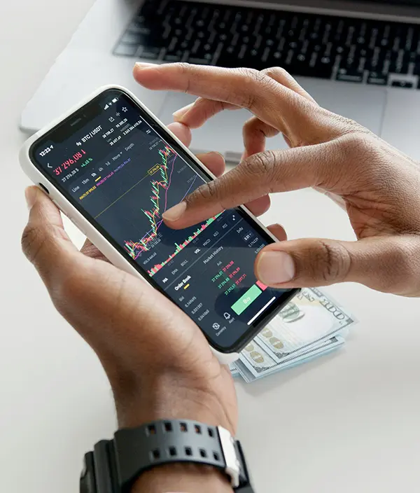 Financial Analysis and Profit Forecasting